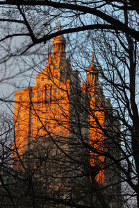 Low angle view of trees and building during sunset