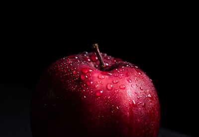 Close-up of wet red apple against black background