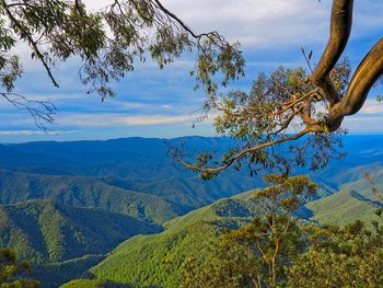 Styx river valley new england national park toward killecrankie from point lookout dunghutti country