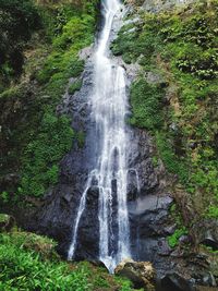 Scenic view of waterfall in forest