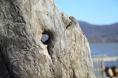 Close-up of rock against sky