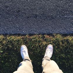 Low section of man standing on grass