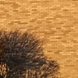 View of brick wall