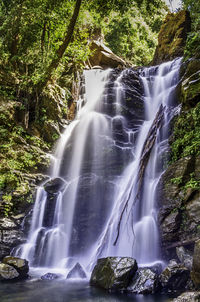 Waterfall in forest
