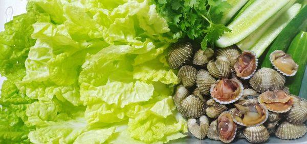 Close-up of clams and salads 