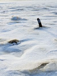 View of birds on snow covered land