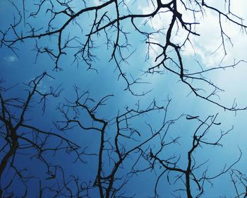 Low angle view of silhouette bare tree against blue sky