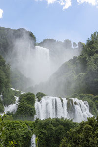 Scenic view of waterfall in forest