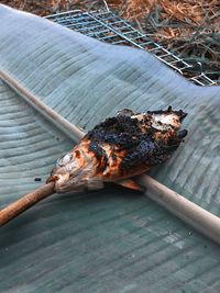 High angle view of crab on barbecue grill