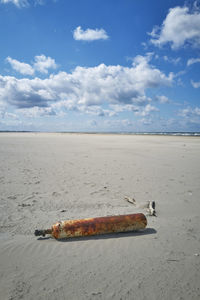 Dead fish on beach against sky