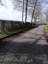 Road amidst bare trees against sky