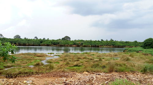 Scenic view of lake against sky