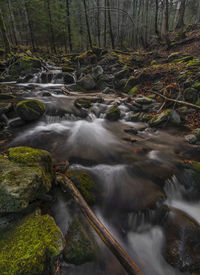 Stream flowing through rocks in forest