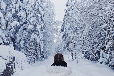 Snow covered landscape against sky