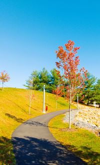 Road amidst trees against clear blue sky