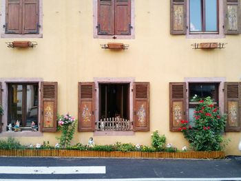 Potted plants on sidewalk