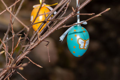 Colorful easter decoration made of colored feathers and colored easter eggs