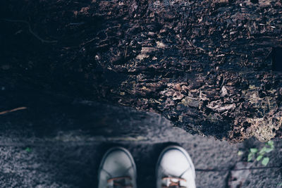 Low section of person standing on bark