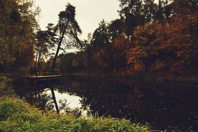 Scenic view of lake in forest during autumn