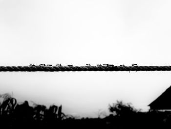 Low angle view of barbed wire against clear sky