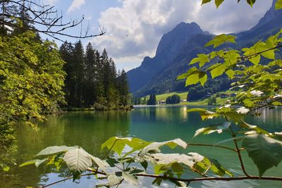 Scenic view of lake by trees against sky