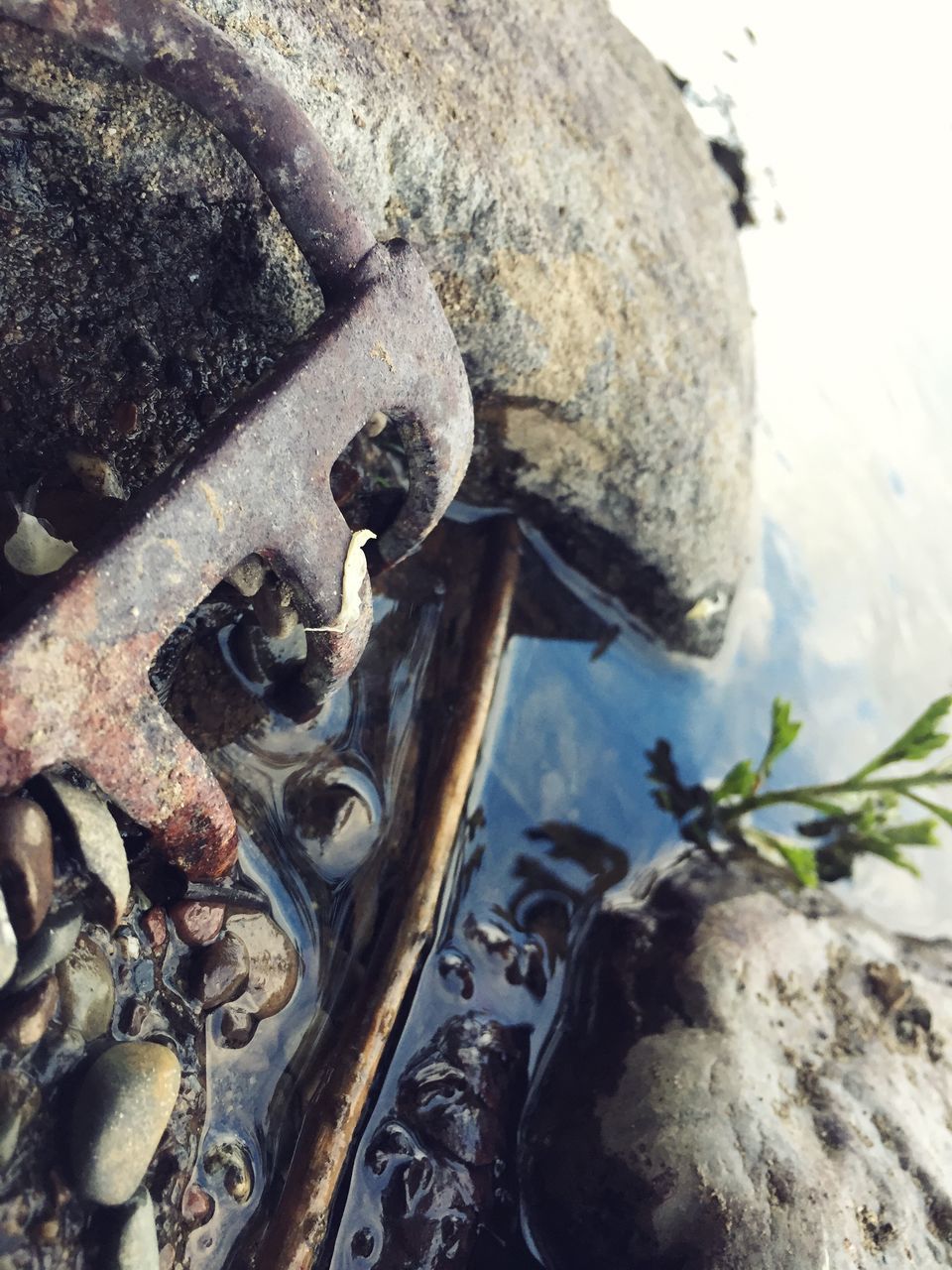 rusty, metal, no people, close-up, weathered, abandoned, outdoors, day