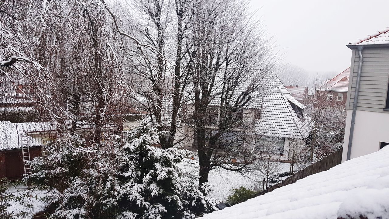 SNOW COVERED BARE TREES AND BUILDINGS