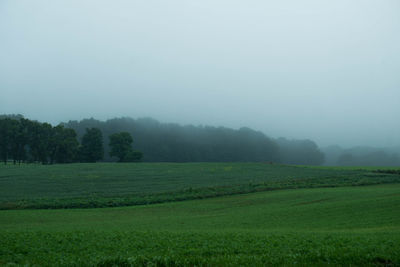 Scenic view of grassy field against sky