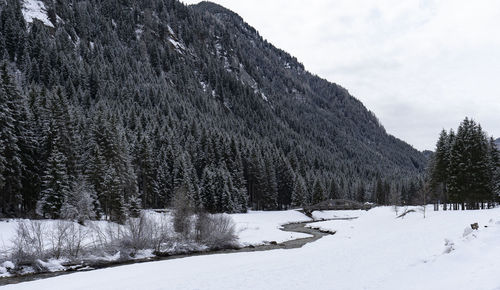 Snow covered land against sky