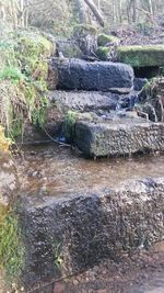 Stream flowing through rocks