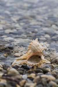 Close-up of sand