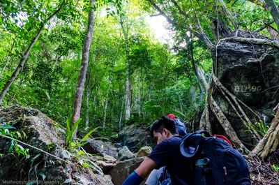 Man standing in forest