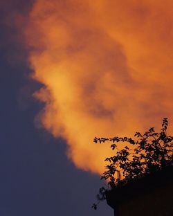 Low angle view of silhouette trees against sky