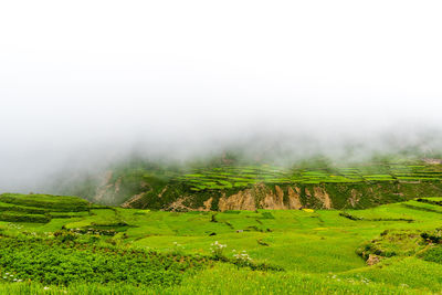 Scenic view of landscape against sky during foggy weather