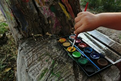Cropped hand holding paintbrush in colorful palette at forest