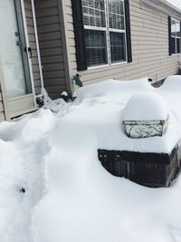 Snow covered trees