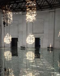 Reflection of trees in water