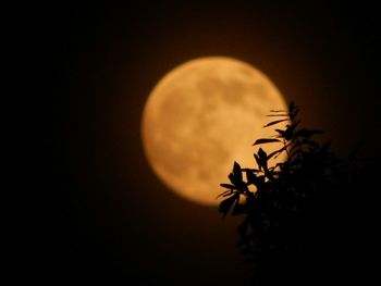 Low angle view of moon in sky