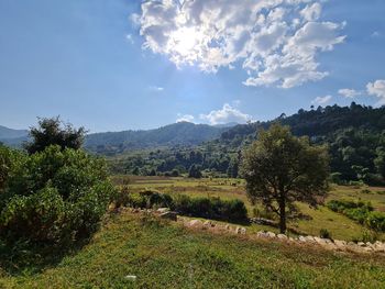 Scenic view of field against sky