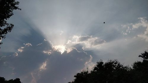 Low angle view of silhouette birds flying against sky