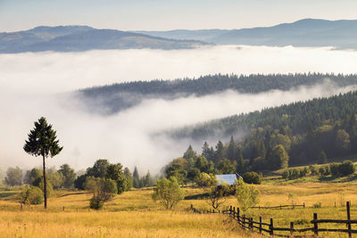 Panoramic view of agricultural field against sky