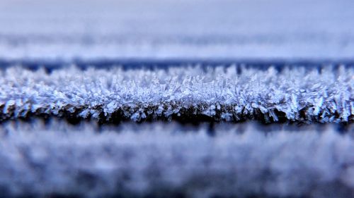 Close-up of frozen water, ripe on wooden planks