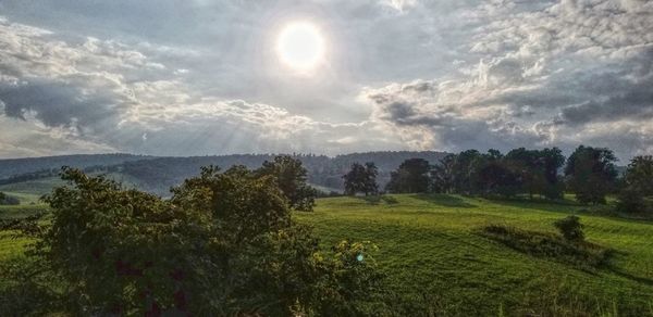 Scenic view of field against sky