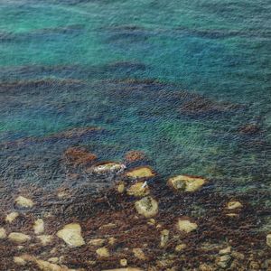 High angle view of rocks on sea shore