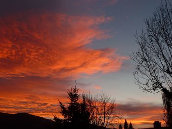 Silhouette trees against sky during sunset