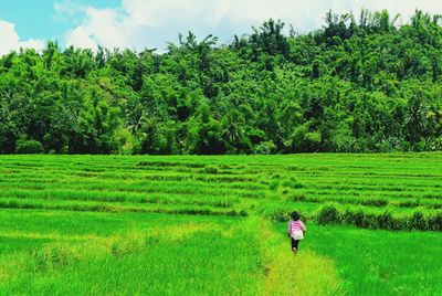 People walking on grassy field