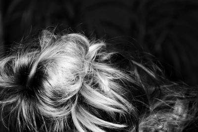 Close-up of woman hair 