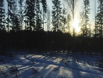 Scenic view of snow covered landscape at sunset