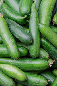 Fresh green cucumber many close up from top angle