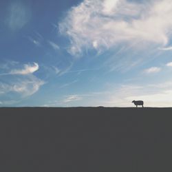 Bird flying over landscape against sky